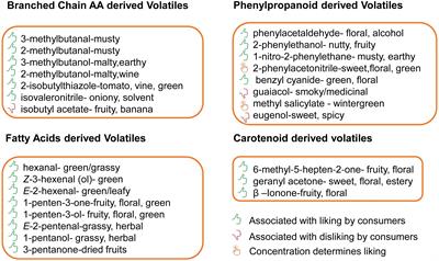 The dissection of tomato flavor: biochemistry, genetics, and omics